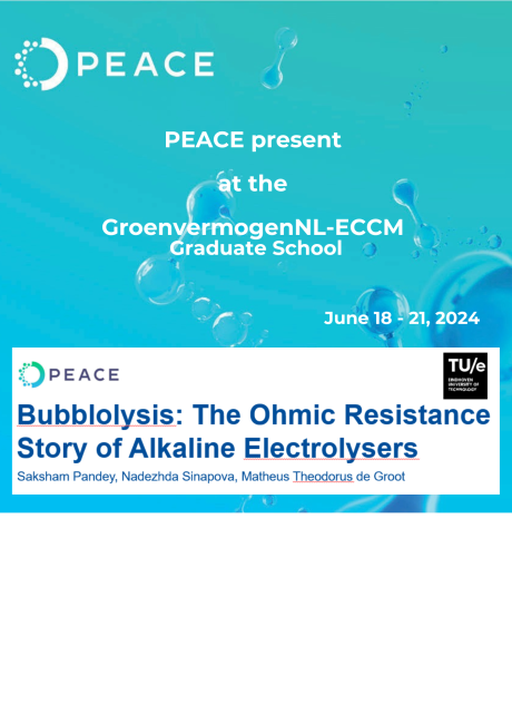 PEACE at the GroenvermogenNL-ECCM Graduate School